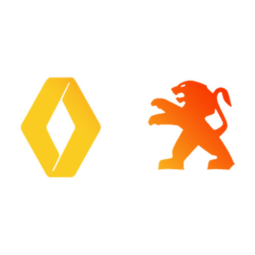 Renault Peugeot ES Almacén